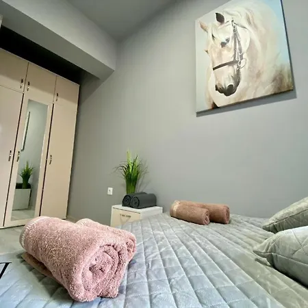 Nj Collection * וארנה