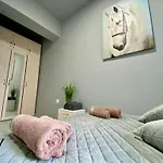 Nj Collection * וארנה